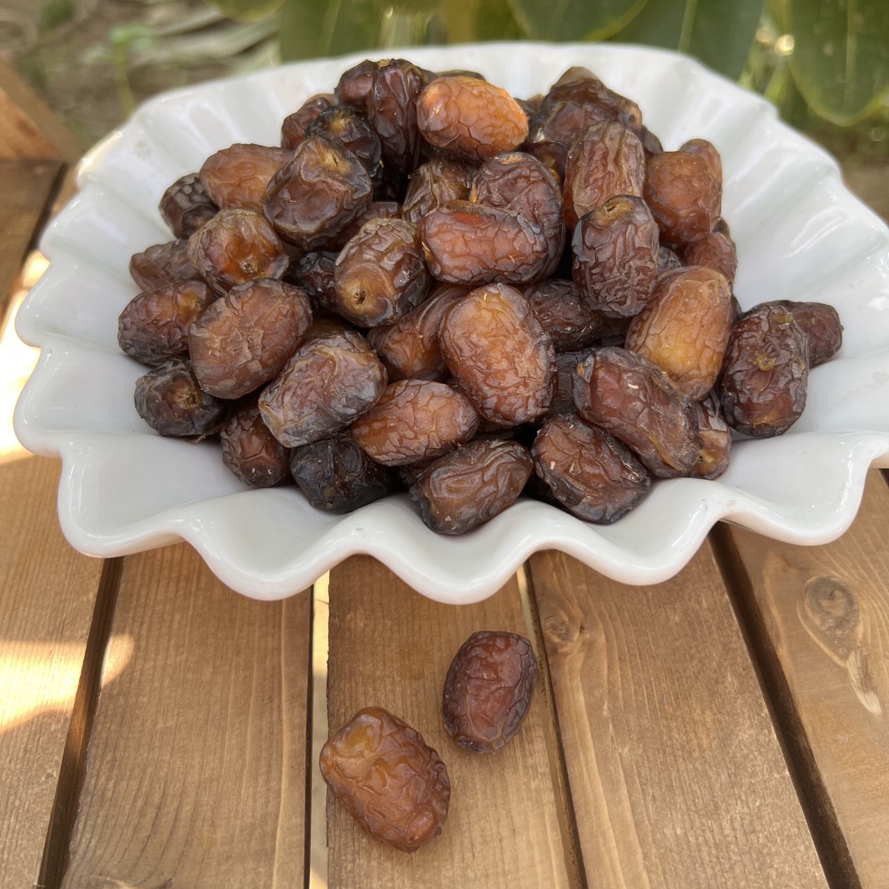 خرمای دانه ریز بریمی